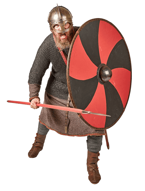 This image shows a viking with sword and shield